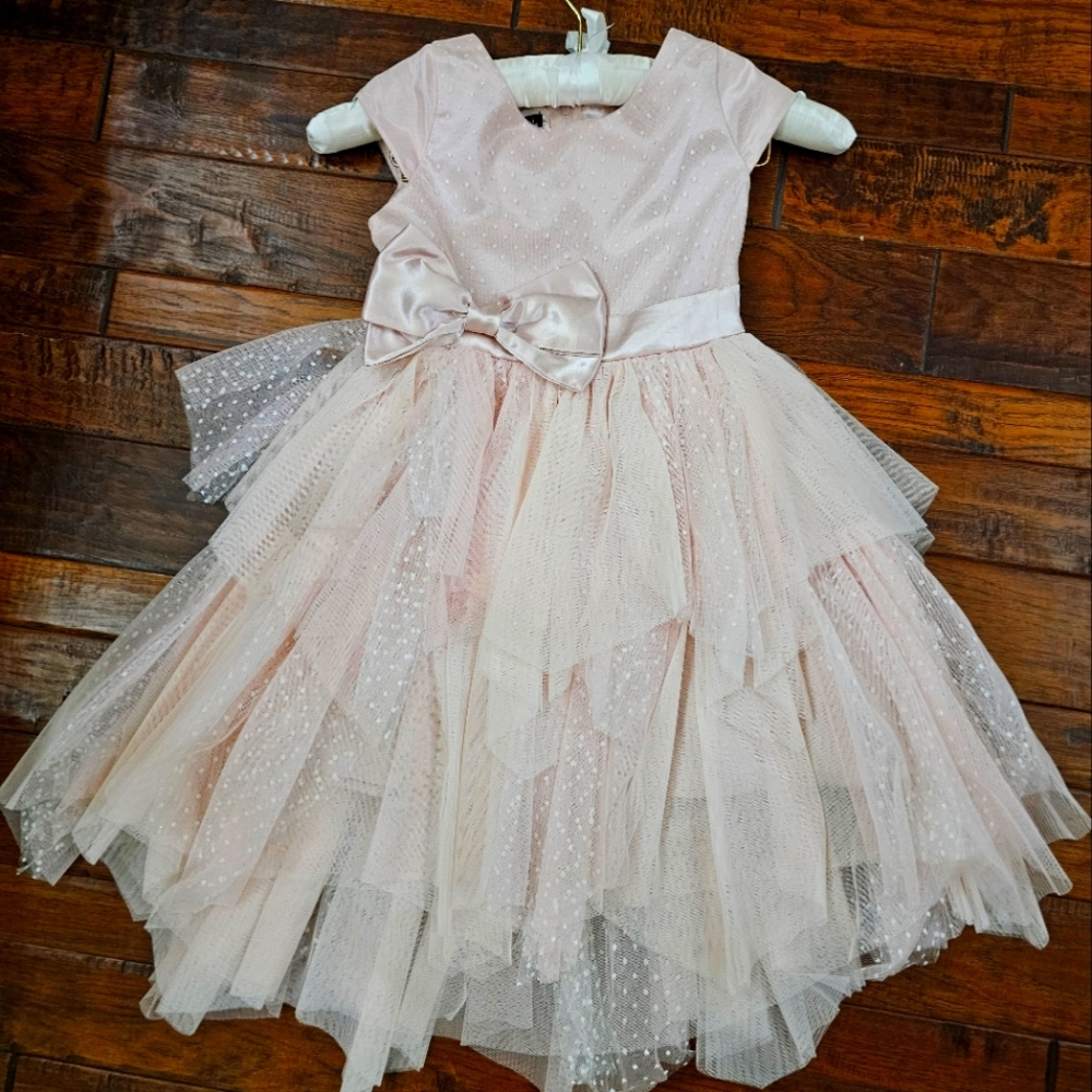 Biscotti Mauve Holiday Dress Size 8